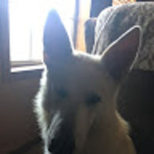 Meet your Posher, Addie